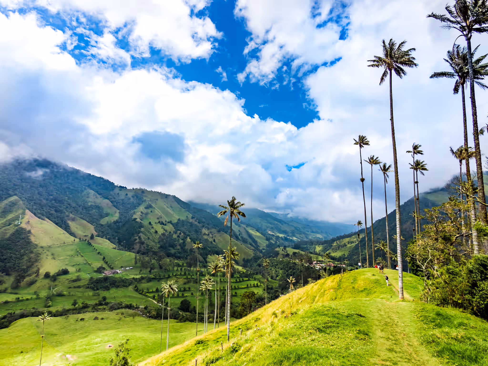 Cocora Valley