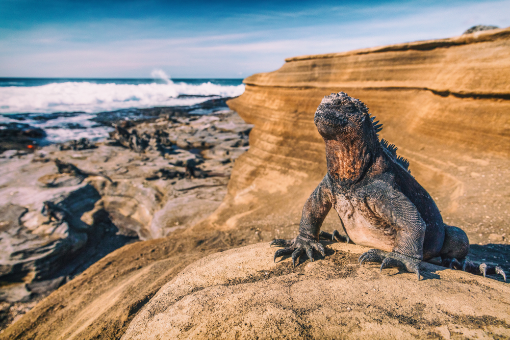 Galapagos Islands