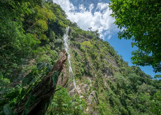 Pico Bonito National Park