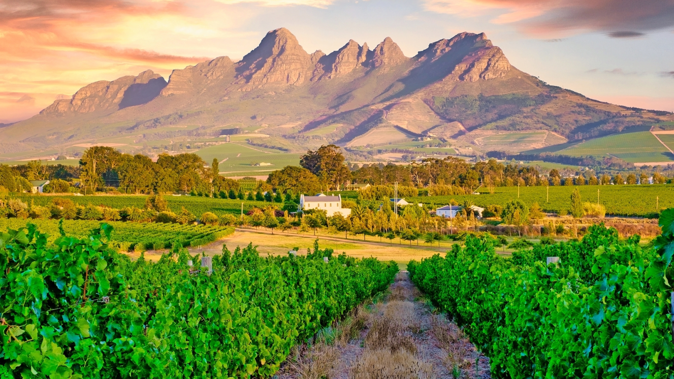 Stellenbosch Wine Region